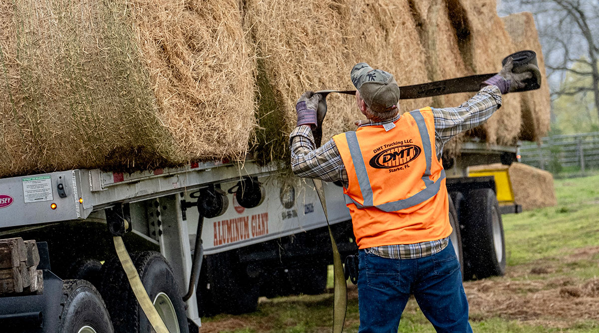 550 Hay Bales Hauled in 27 Emergency Shipments After Wildfires, Enough to Feed 5,400 Cows